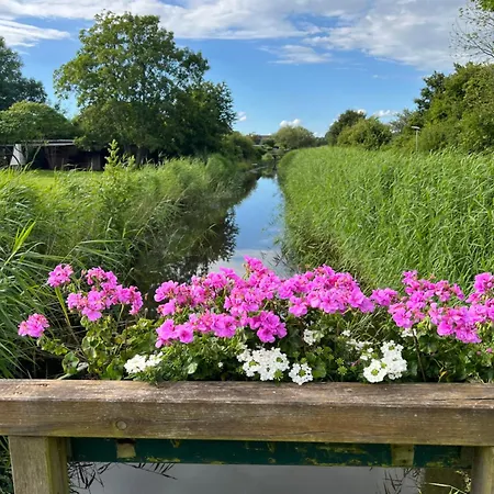 Kehrwedder An Der Nordsee - Bei Friedrichstadt *